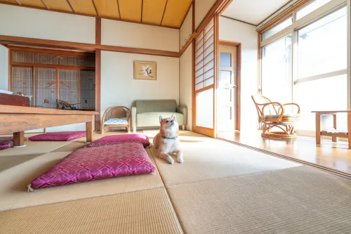 【長崎県東彼杵郡川棚町】民泊撮影です。 no.95-13