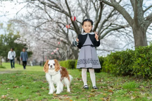 【福岡県直方市】入学式撮影です。 no.56-3