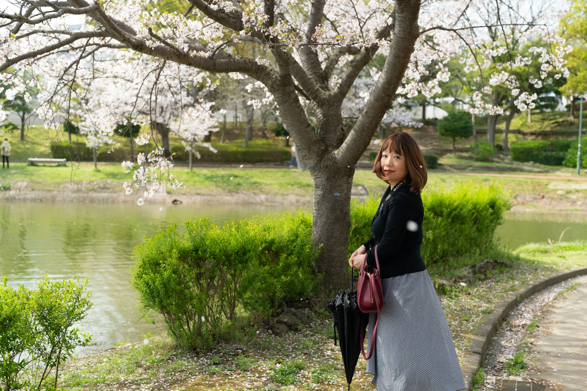 駕与丁公園の桜ポートレート