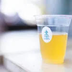 次の記事 - 博多どんたくに行ってきました。