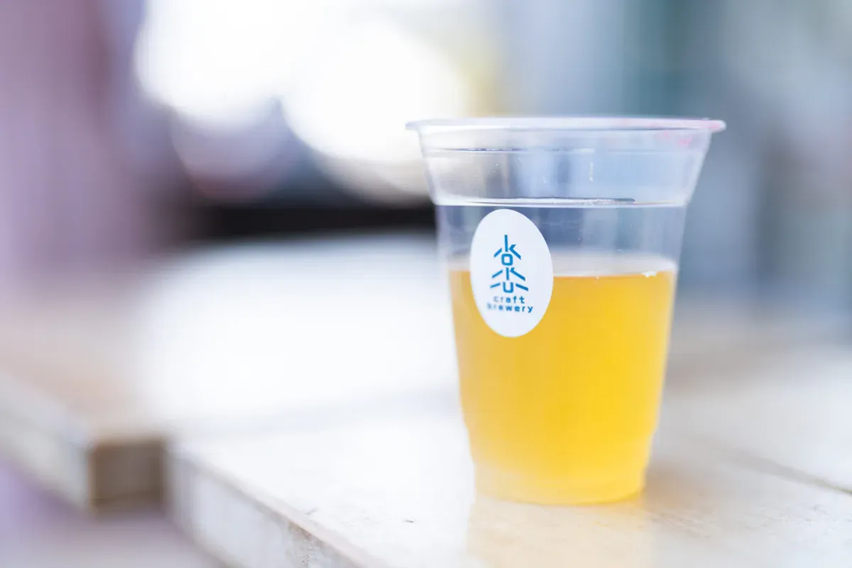 博多どんたくに行ってきました。