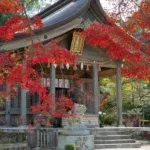次の記事 - 太宰府市・竈門神社の紅葉2025｜平日限定11,000円の七五三撮影プランのお知らせ