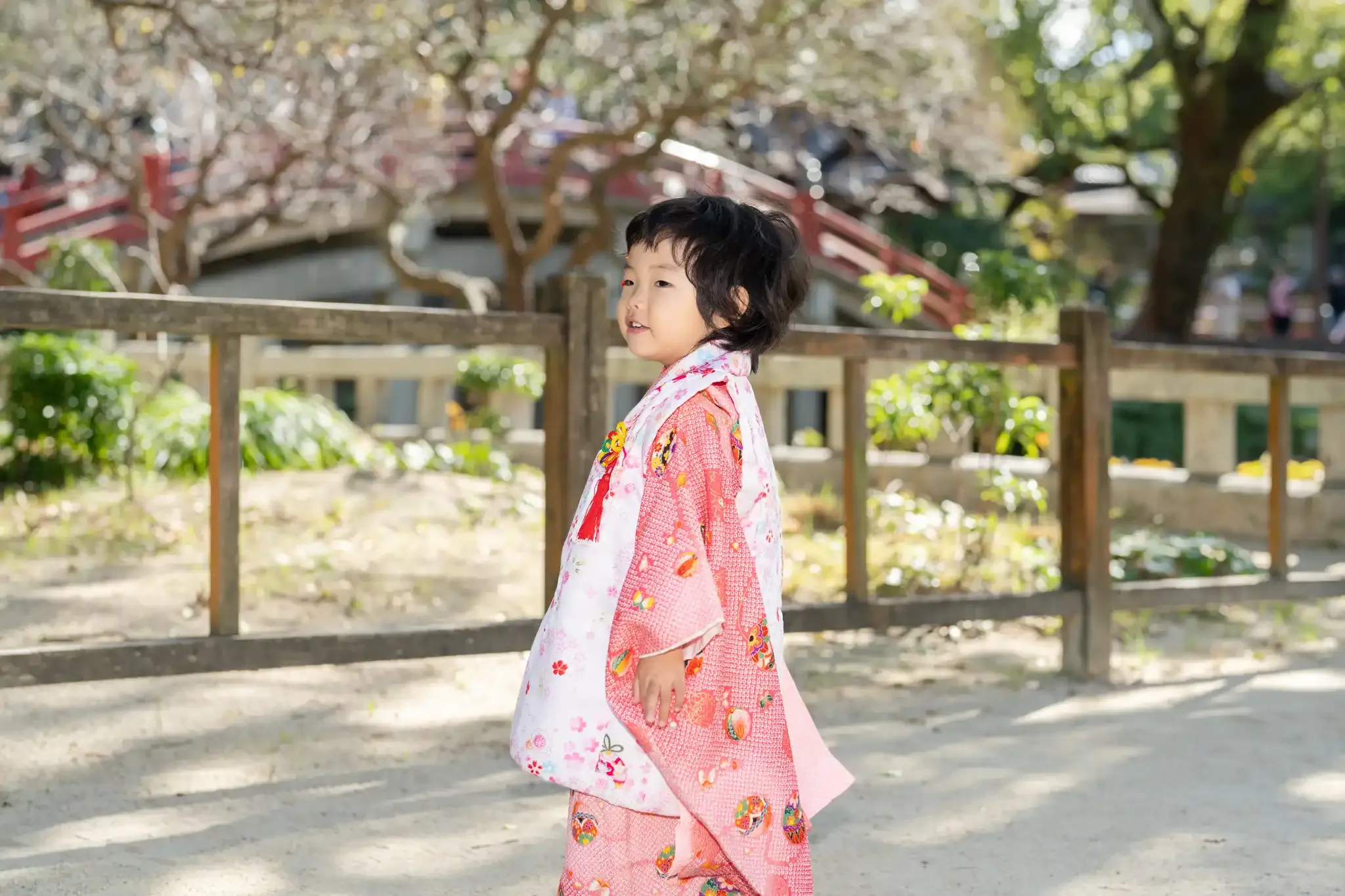 【福岡県太宰府市で七五三撮影】太宰府天満宮にて、3歳の女の子の七五三撮影を行いました。1