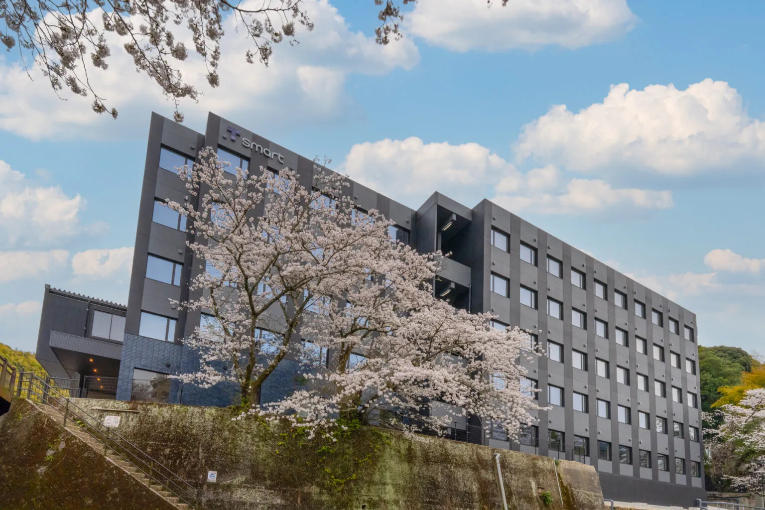 春の光に包まれて、新しいホテル撮影｜福岡・脇田温泉にて