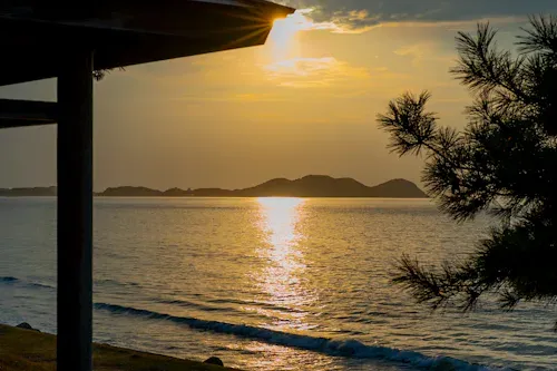 三里松原から覗く夕陽