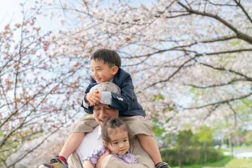 【福岡県糟屋郡粕屋町で家族撮影】新1年生の男の子と妹さんとご両親で桜の中で家族撮影をさせていただきました。1