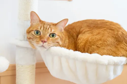 【福岡県福岡市城南区】店舗・会社撮影です。 no.67-2