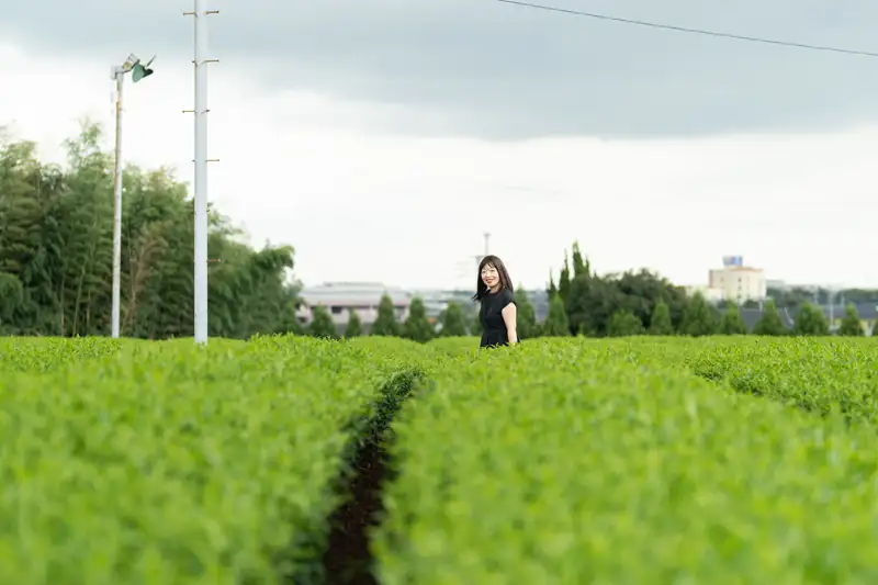 八女市のお茶村