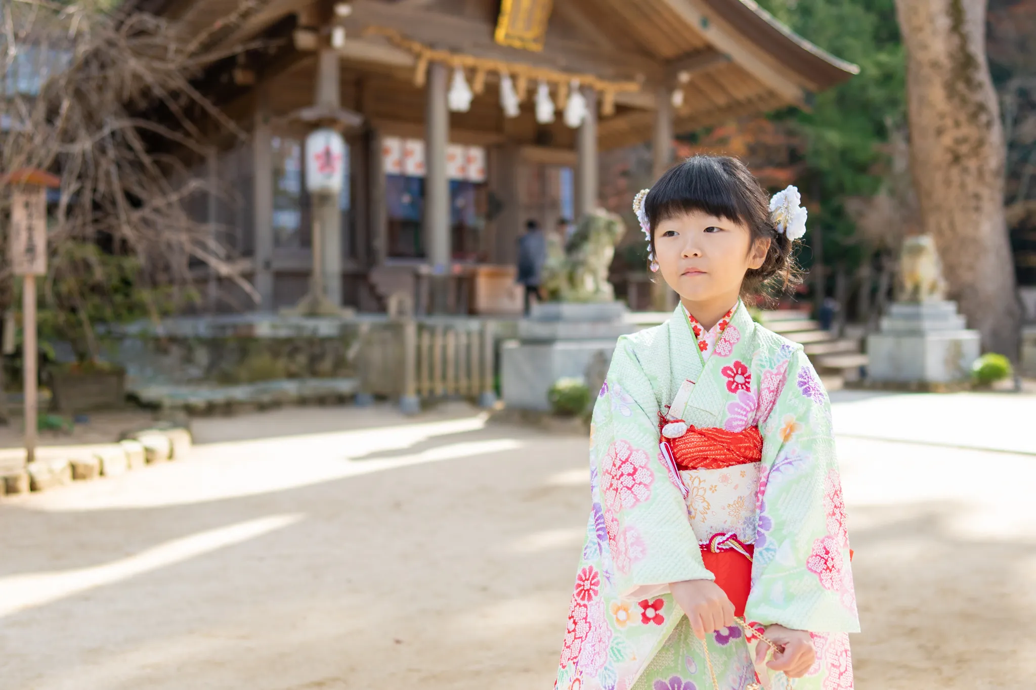 【福岡県太宰府市】七五三撮影です。 no.49-7